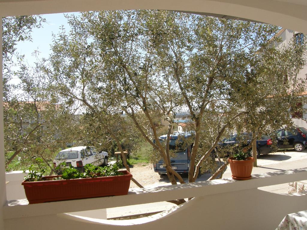 Apartments Marino Povljana Buitenkant foto